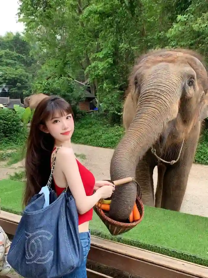 漫画盗版数据对比